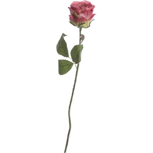 Picture of ROSE stem h56cm pink/cream