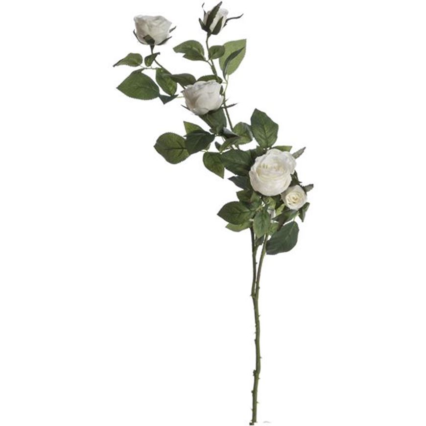Picture of GARDEN rose stem h68cm white