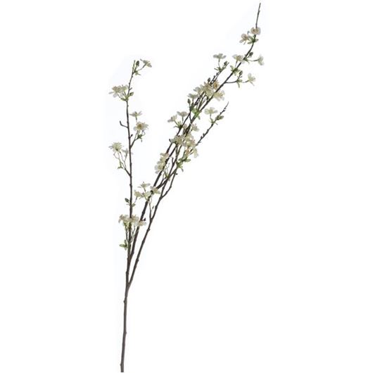Picture of ANISODENTIA stem h117cm white