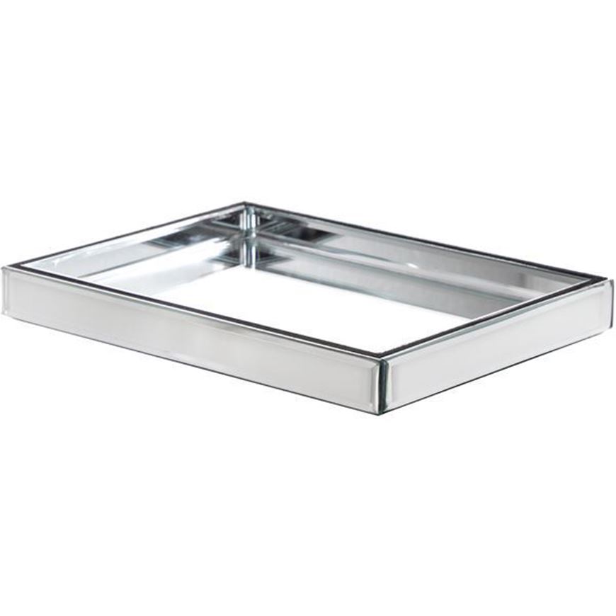 PRISM tray 31x23 clear