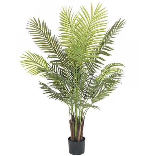 Picture of ARECA PALM tree h150cm green