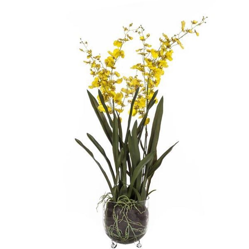 ORCHID plant h110cm yellow