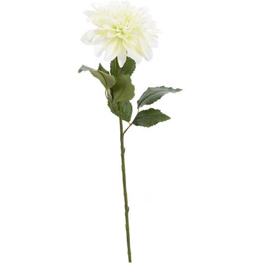 DAHLIA stem h69cm cream/green