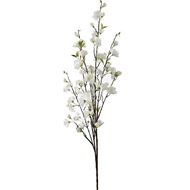 CHERRY BLOSSOM stem h137cm white