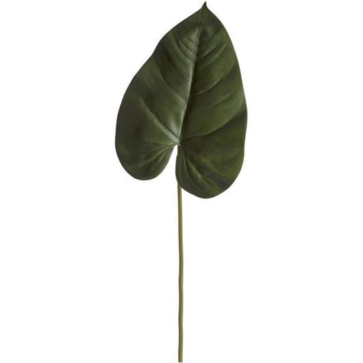 ANTHURIUM leaf h81cm green