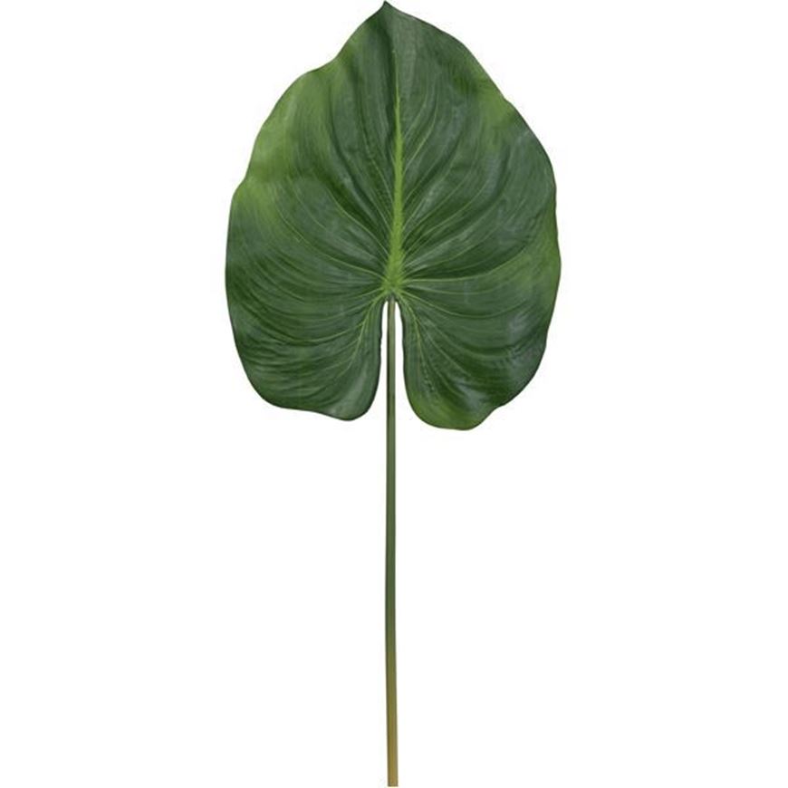 CANNA leaf h82cm green