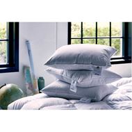 ASTRID pillow soft and low 50x70 450g white