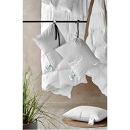 ASTRID pillow soft and low 50x70 450g white